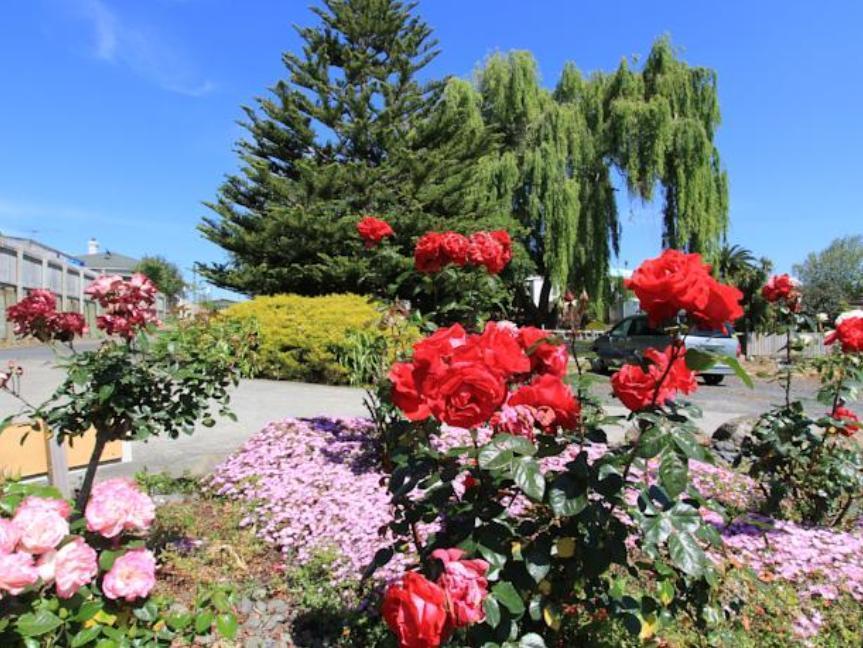 Waiuku Motel Dış mekan fotoğraf